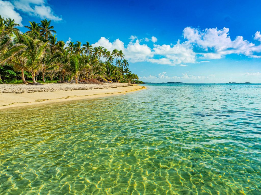 L&rsquo;Anse Michel en Martinique : Ton Guide Essentiel Outre-mer Tourisme