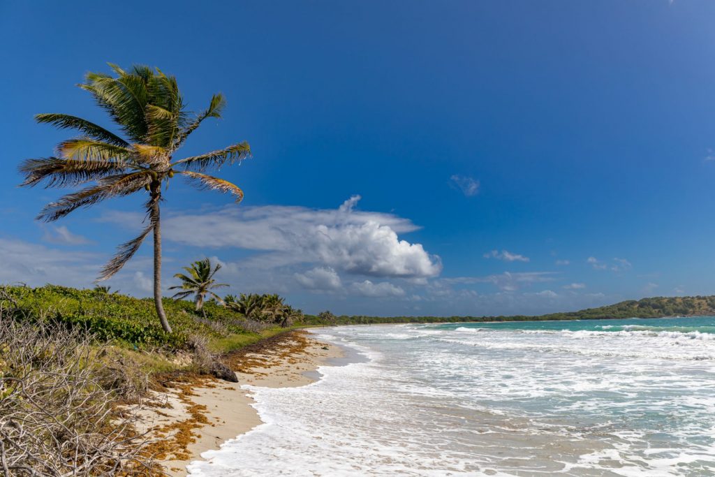 Anse Trabaud Martinique : Le Joyau Outre-mer des Caraïbes