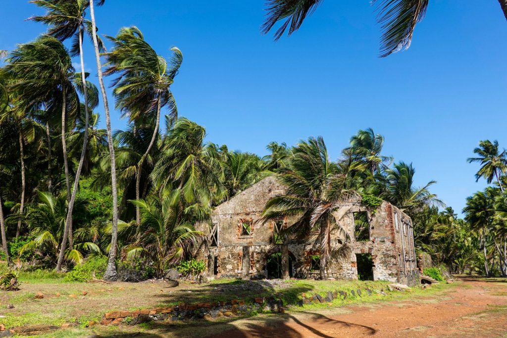 Île Royale Guyane : L&rsquo;Outre-mer Tourisme Révèle un Passé Mémorable