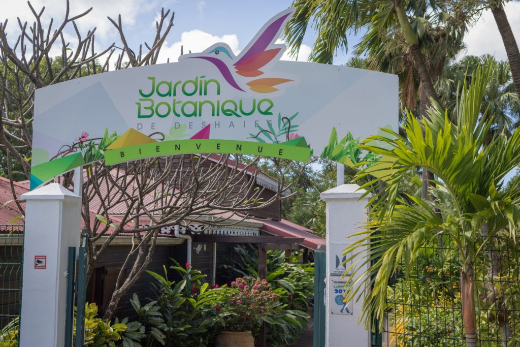 Jardin Botanique de Deshaies en Outre-mer : L&rsquo;Écrin Végétal de la Guadeloupe