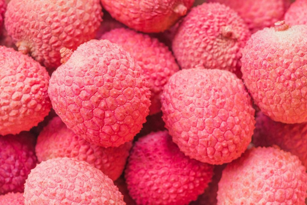 Outre-mer : Le Litchi de La Réunion 2025 Signe un Retour Spectaculaire