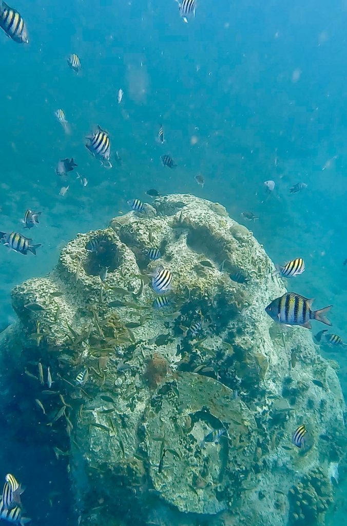 Maman Dlo Martinique : découvre le mythe et les spots Outre-mer Tourisme