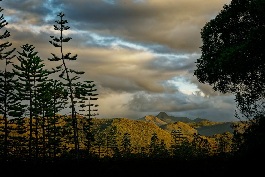 Yate Nouvelle-Calédonie : L&rsquo;Aventure Écotouristique Absolue en Outre-mer