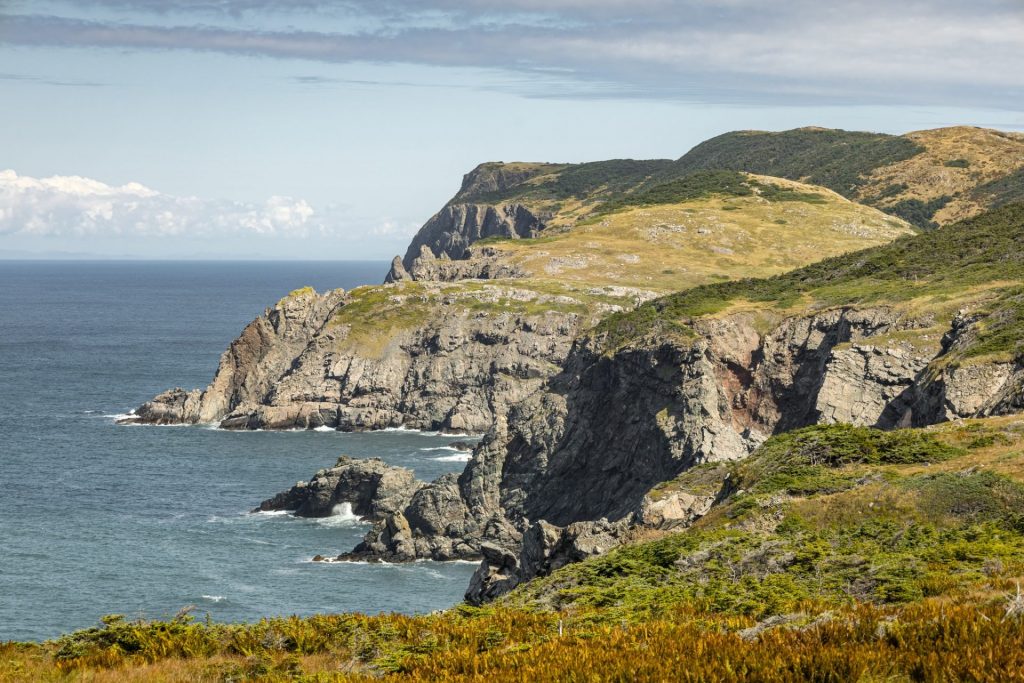 Falaises et Grand Air à Miquelon : Évasion Inoubliable dans l&rsquo;Outre-mer de Saint-Pierre et Miquelon