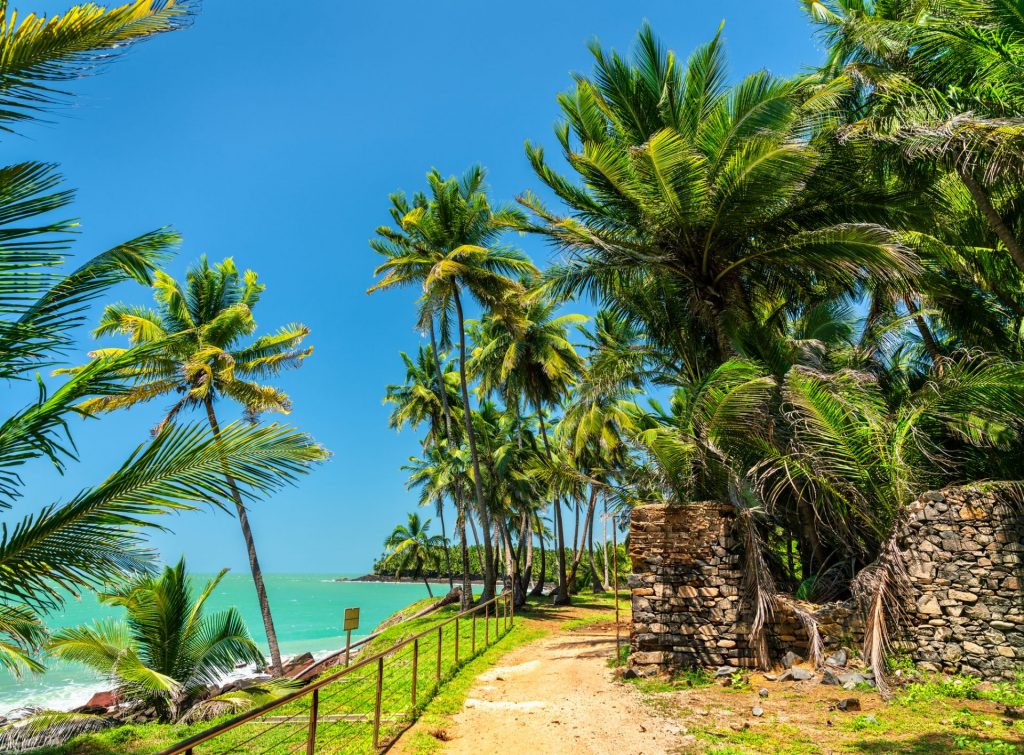 Écoutourisme en Guyane