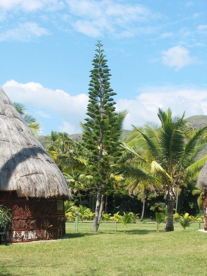 Avis de touristes sur la Nouvelle-Calédonie
