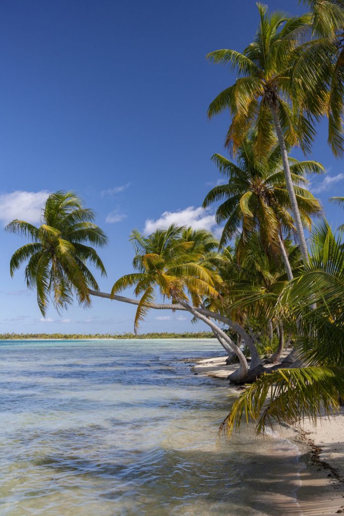 Manihi Tahiti : Ton Guide Essentiel pour un Séjour Inoubliable dans les Îles Outre-mer