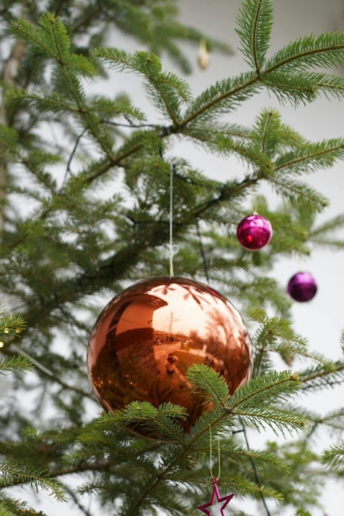 Outre-mer Tourisme : Tes Avantages Uniques pour Célébrer Noël sous les Tropiques