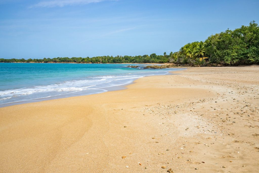 Plage de Grande Anse, le joyau de la Guadeloupe Outre-mer