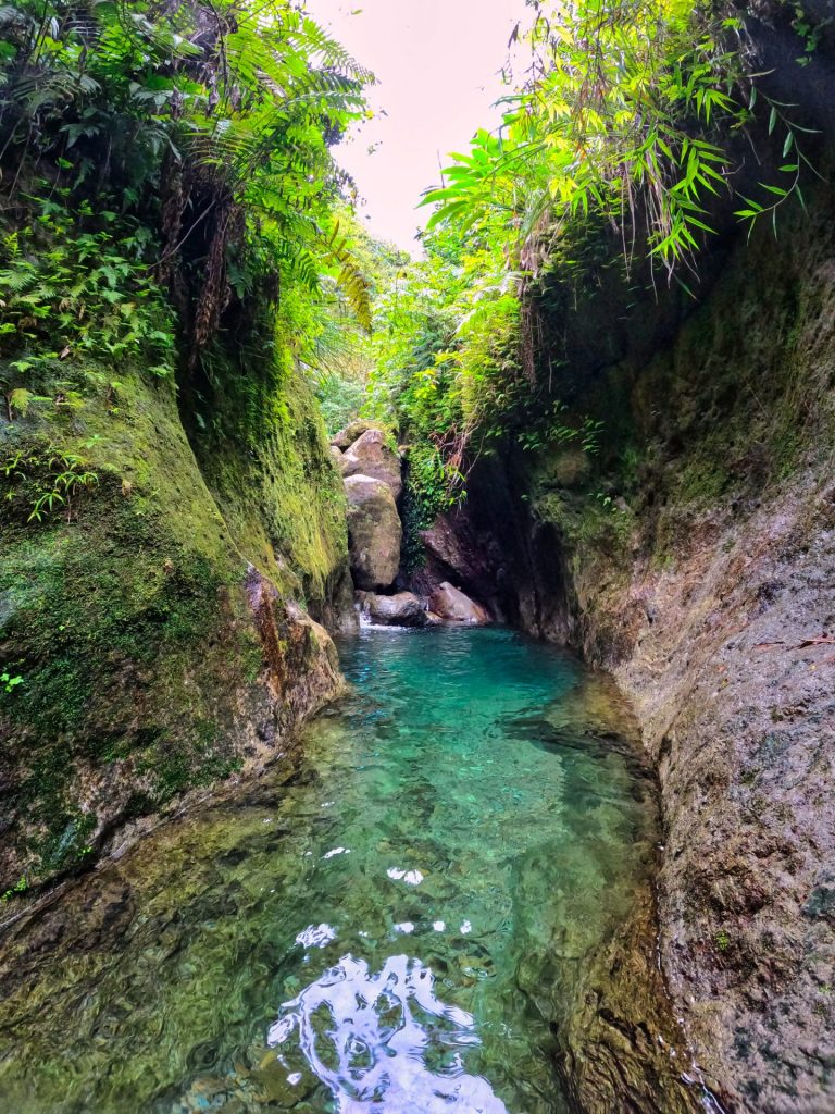 Martinique : Guide des meilleurs spots de canyoning avec Outre-mer Tourisme