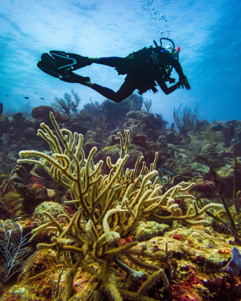 Les Îles de Guadeloupe lancent un Concours