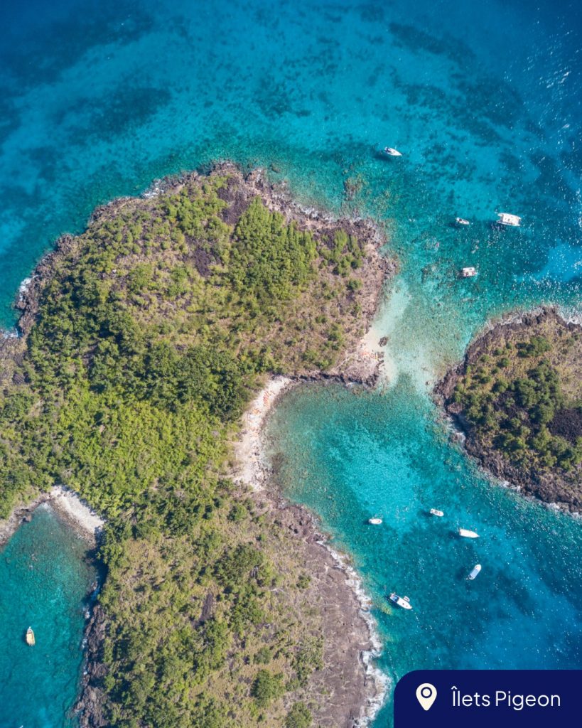 Îlets Pigeon : Plonge dans la Réserve Cousteau en Guadeloupe Outre-mer
