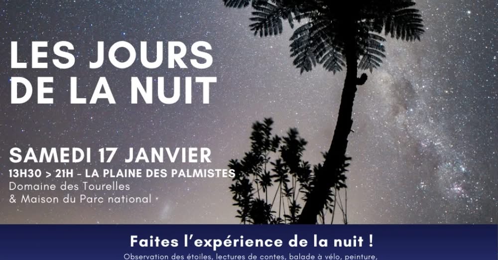 Nuit étoilée à la Plaine des Palmistes : Ton aventure nocturne à La Réunion