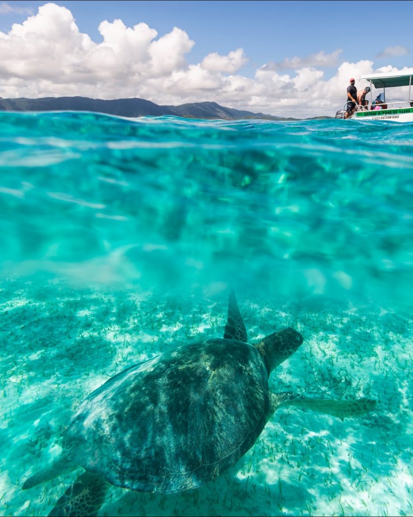 Explore le lagon de Poé en Nouvelle-Calédonie : ton guide aventure 2026