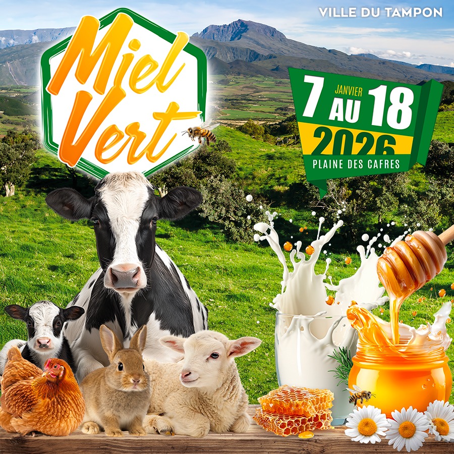 Guide des miels d&rsquo;exception à ramener de La Réunion