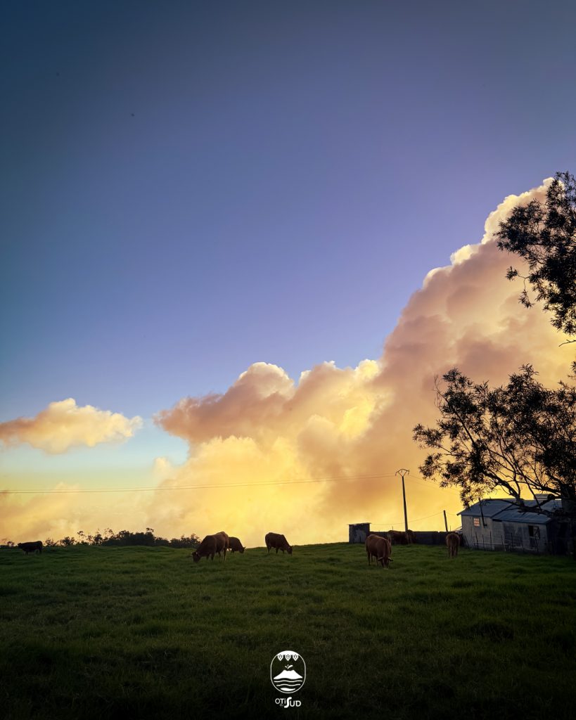 Le spectacle naturel d&rsquo;un coucher de soleil à La Réunion