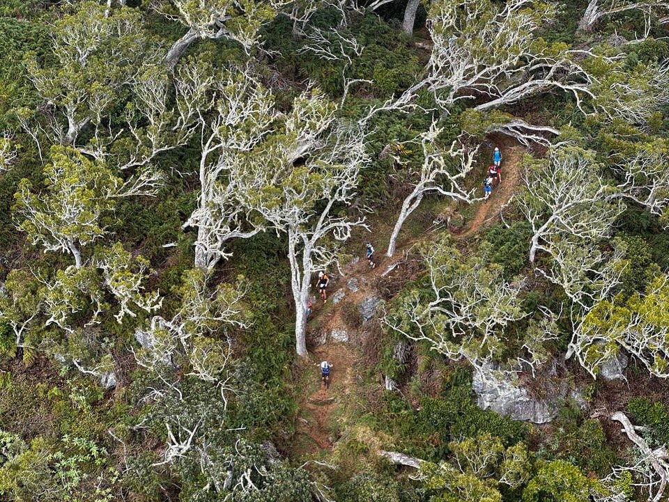 La Réunion, île d’Outre-mer : ton guide essentiel des paysages spectaculaires