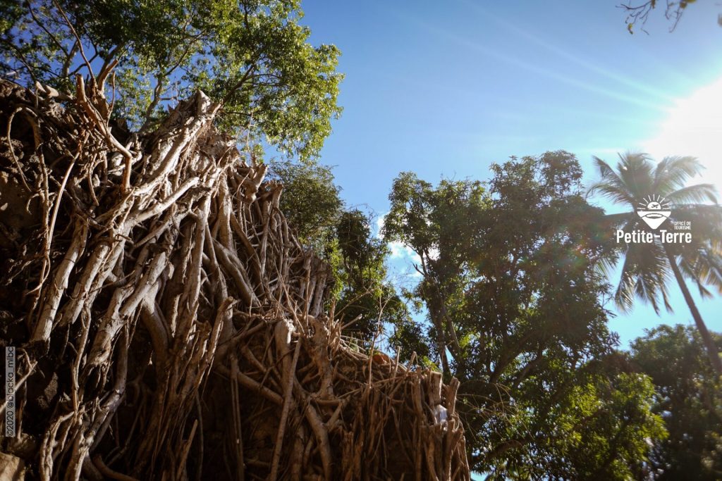 Petite-Terre Mayotte : Le Joyau Sauvage de cette Région d&rsquo;Outre-mer