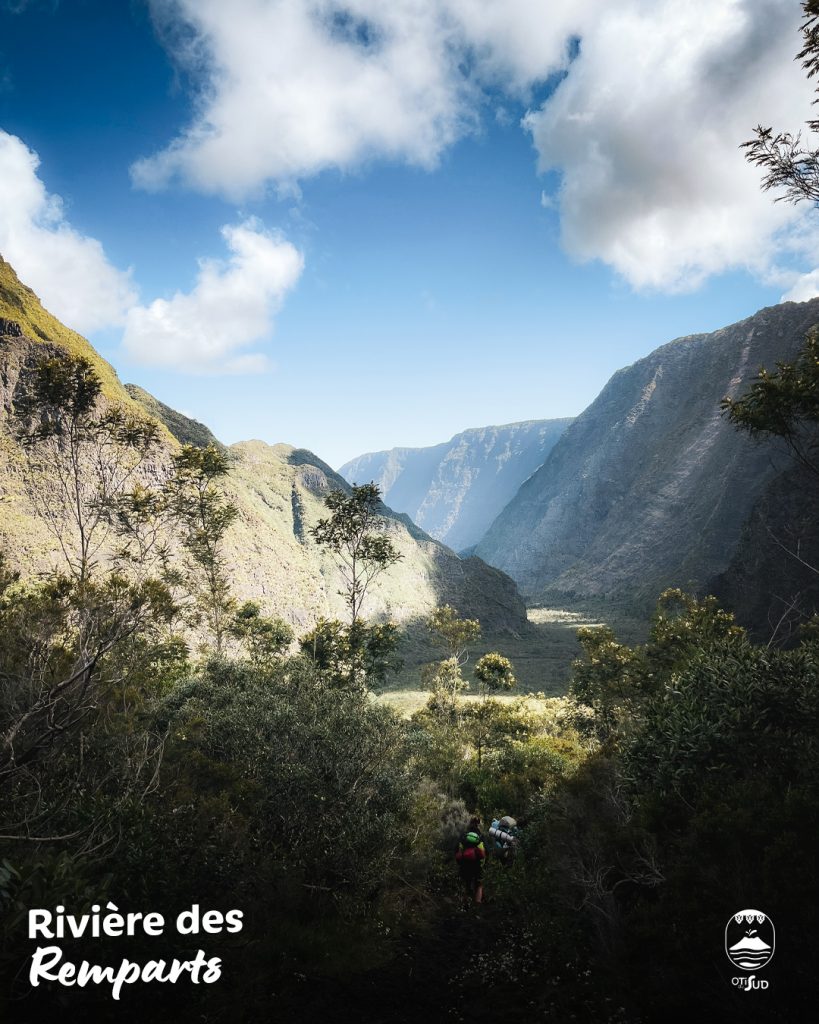 Guide Randonnée : Explore le Nez de Bœuf vers Roche Plate à La Réunion