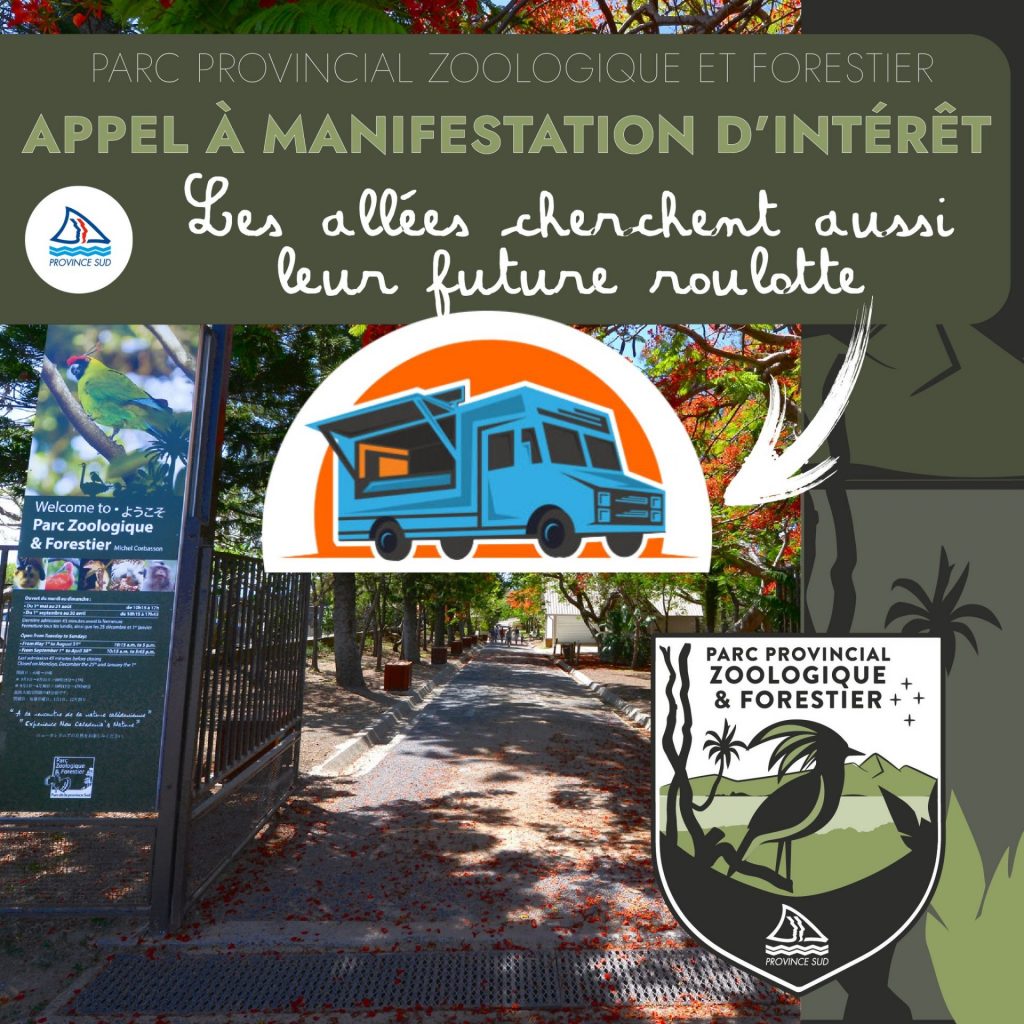 Opportunités business : Lancez votre projet touristique au Parc Forestier en Nouvelle-Calédonie