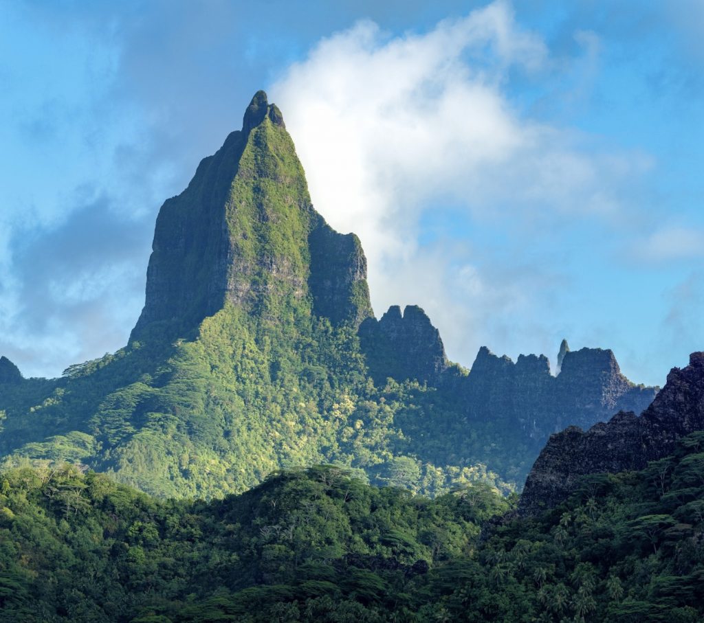 Ascension du mont Tohiea : le sommet sauvage de la Polynésie française