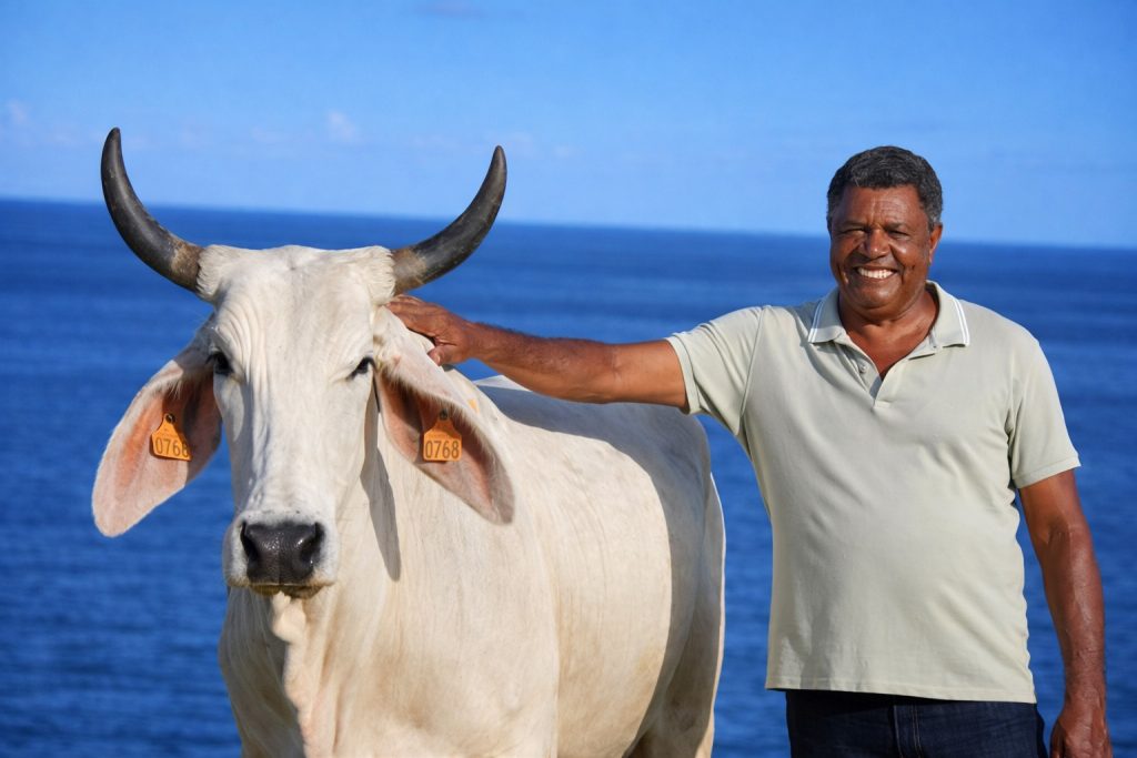 Biguine : L&rsquo;excellence de l&rsquo;élevage de Martinique et d&rsquo;Outre-mer sous les projecteurs