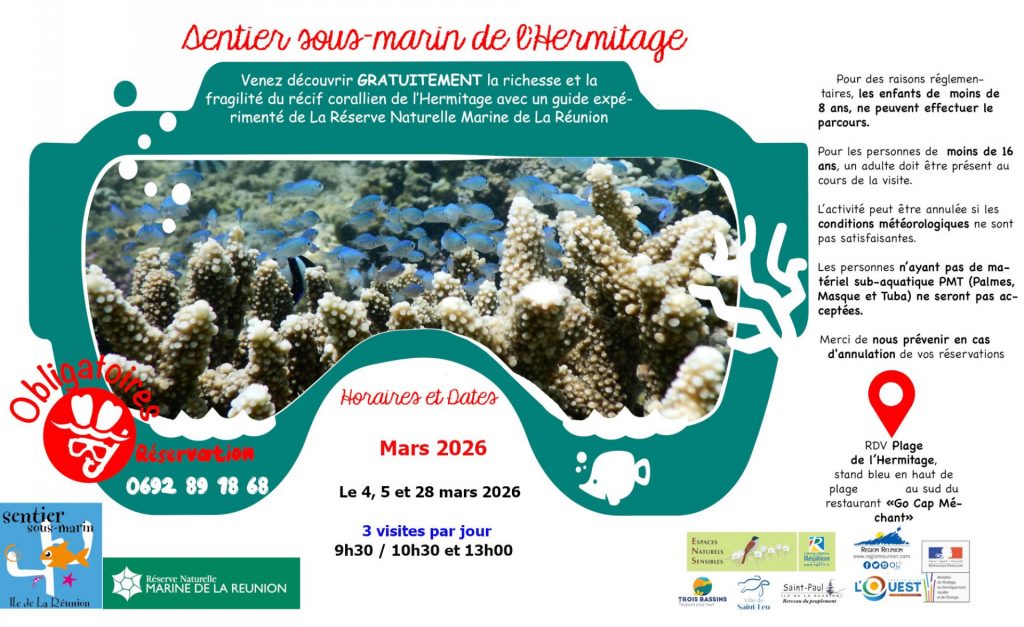 Exploration sous-marine : découvrez les trésors coralliens de l&rsquo;Outre-mer à La Réunion