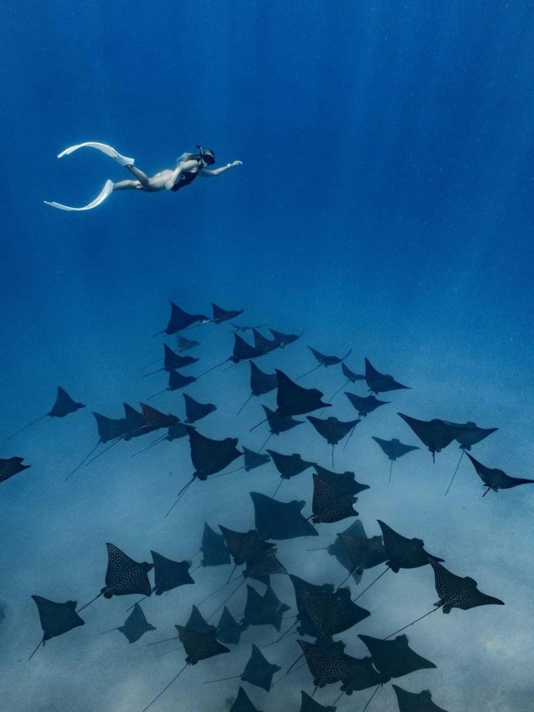 Plongée en Polynésie : Ton guide ultime au cœur de l&rsquo;Outre-mer