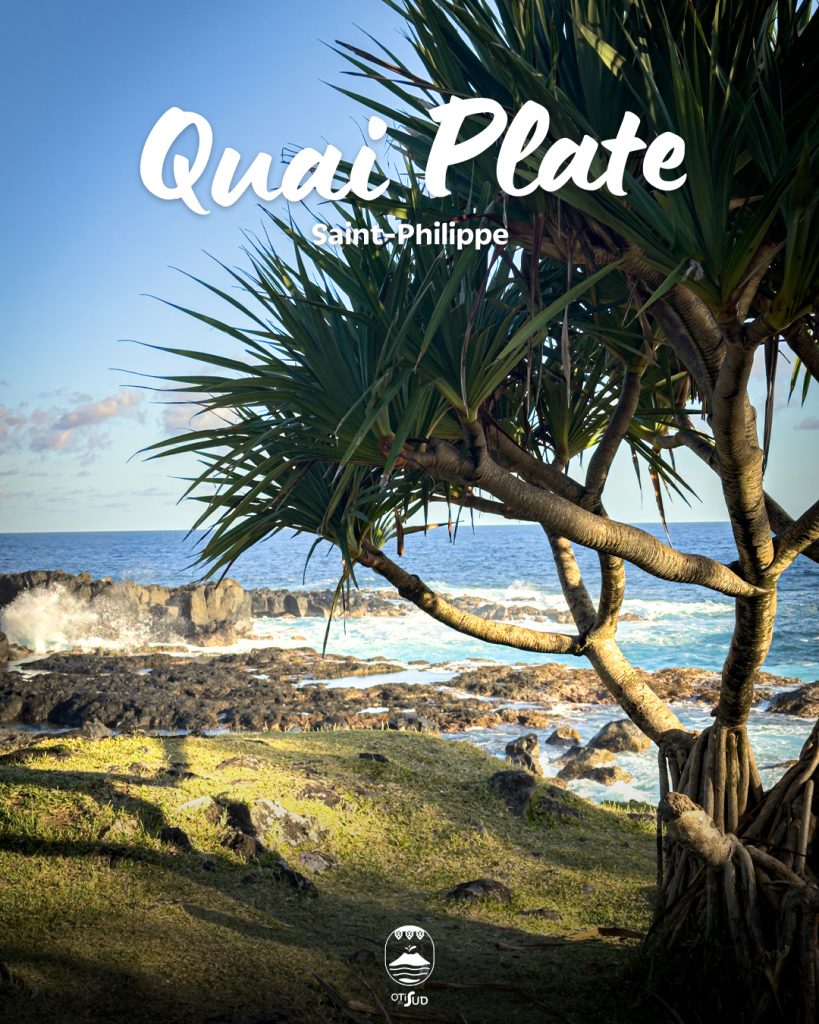 Quai Plate à la Réunion : ton secret sauvage en Outre-mer