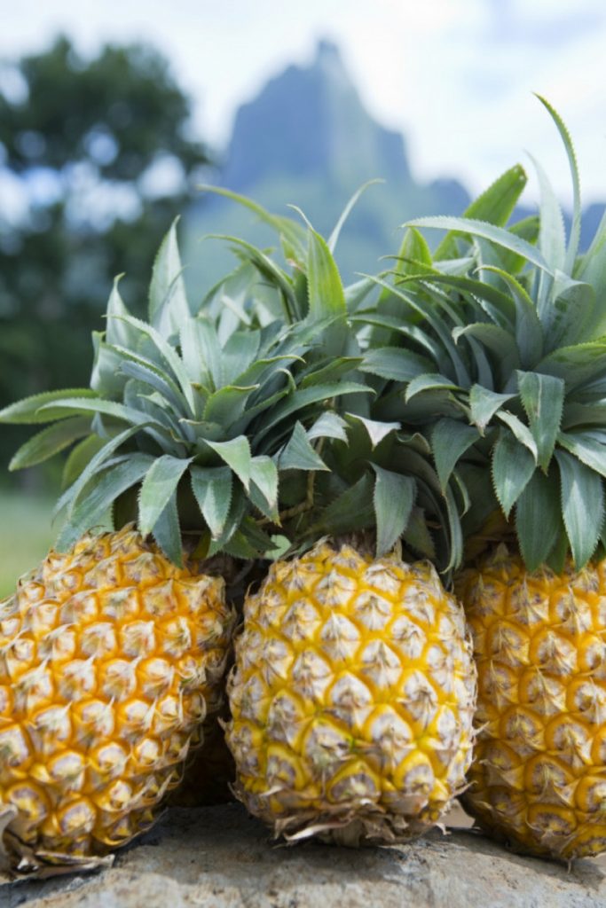 Moorea et l&rsquo;or jaune de Polynésie : un voyage sensoriel en Outre-mer