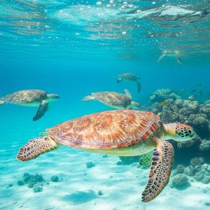 Guide de l&rsquo;écotourisme engagé : préserve la biodiversité lors de ton voyage en Outre-mer