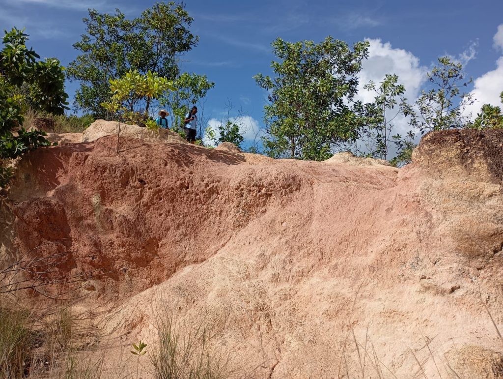 Le Tani Malandi : Le secret de beauté ancestral à découvrir à Mayotte
