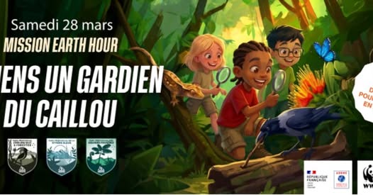 Reconnexion en Outre-mer : fêtez Earth Hour au Parc Provincial des Grandes Fougères en Nouvelle-Calédonie