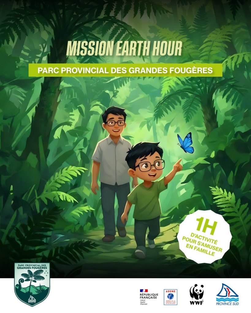Célébrez Earth Hour avec le WWF Antenne Nouvelle-Calédonie : une mission nature au Parc Provincial des Grandes Fougères
