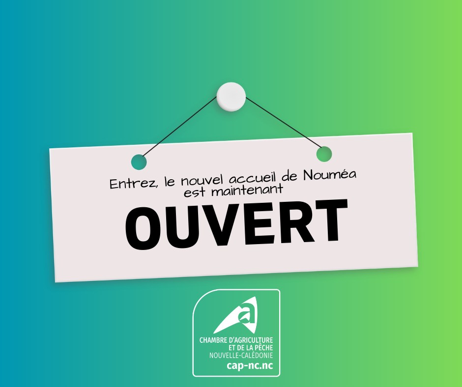 Ouverture du nouvel accueil de la Chambre d&rsquo;agriculture et de la pêche de Nouvelle-Calédonie en Outre-mer