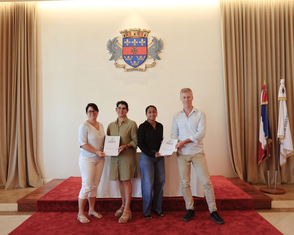 Enjeux Culturels à la Collectivité de Saint-Barthélemy en Outre-mer : Le Rapport CESCE 2026