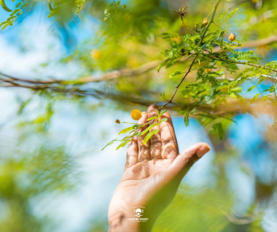 Explore le Tourisme Centre-Ouest à Mayotte en Outre-mer
