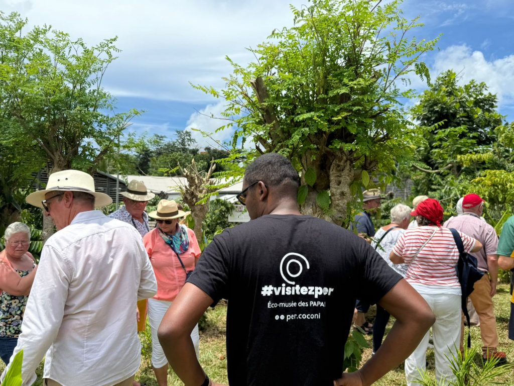 Explore les saveurs de Mayotte avec Baobab Tour Mayotte et le Pôle d&rsquo;Excellence Rurale de Coconi en Outre-mer