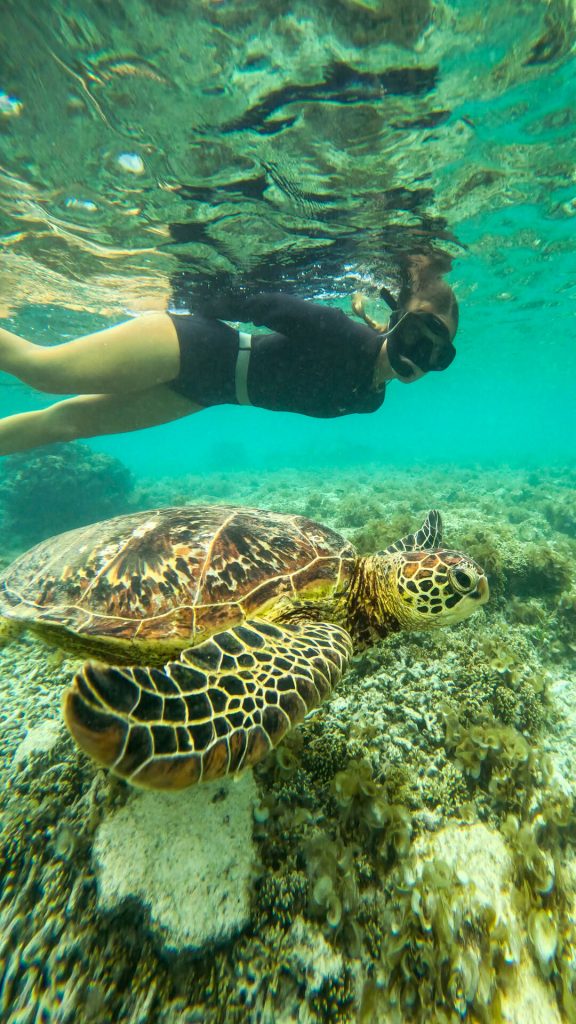 Explorez la vie marine en Outre-mer avec l&rsquo;Office de tourisme de Nouvelle-Calédonie