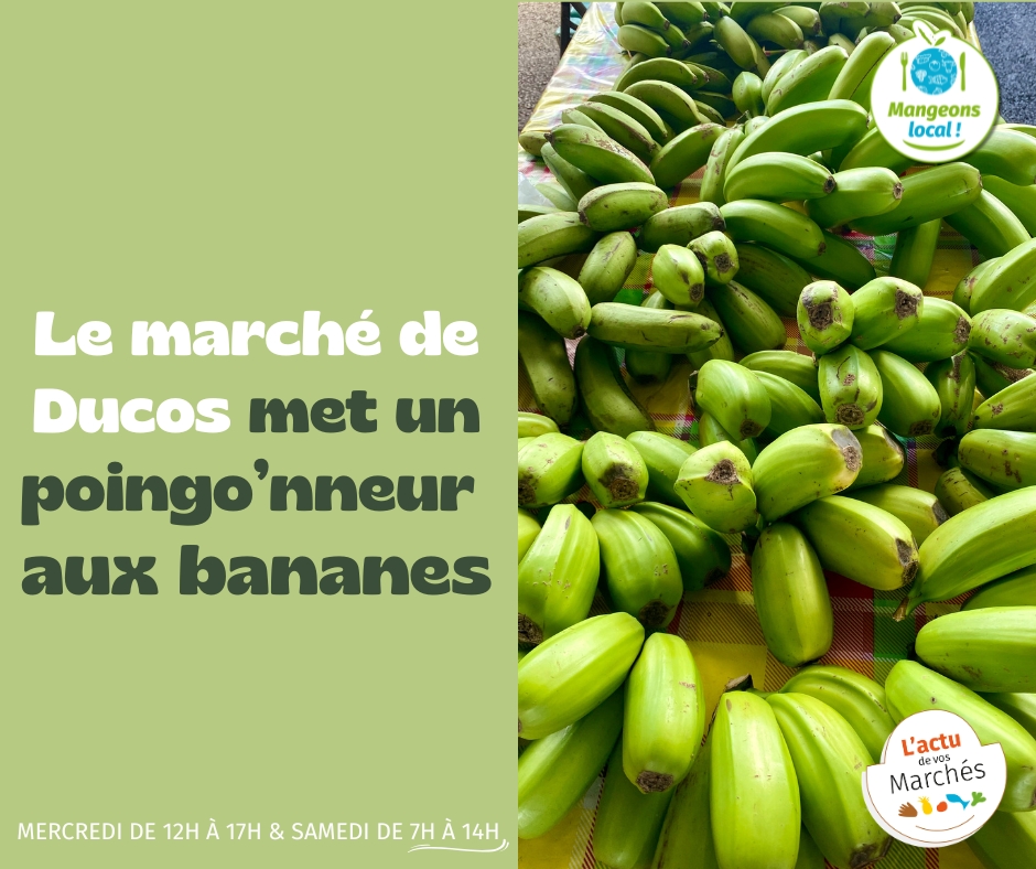 La Chambre d&rsquo;agriculture et de la pêche de Nouvelle-Calédonie dynamise le marché de Ducos en Outre-mer