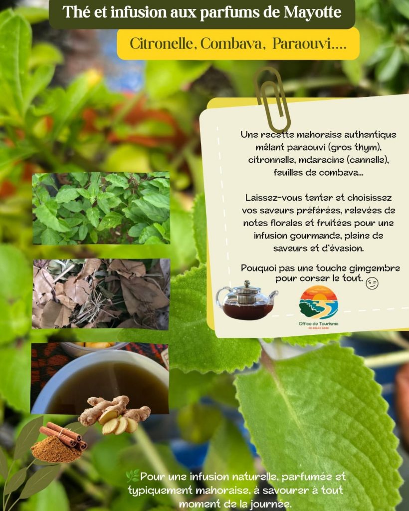 Le thé mahorais de l&rsquo;Office de Tourisme du Grand Nord de Mayotte : Un trésor d&rsquo;Outre-mer