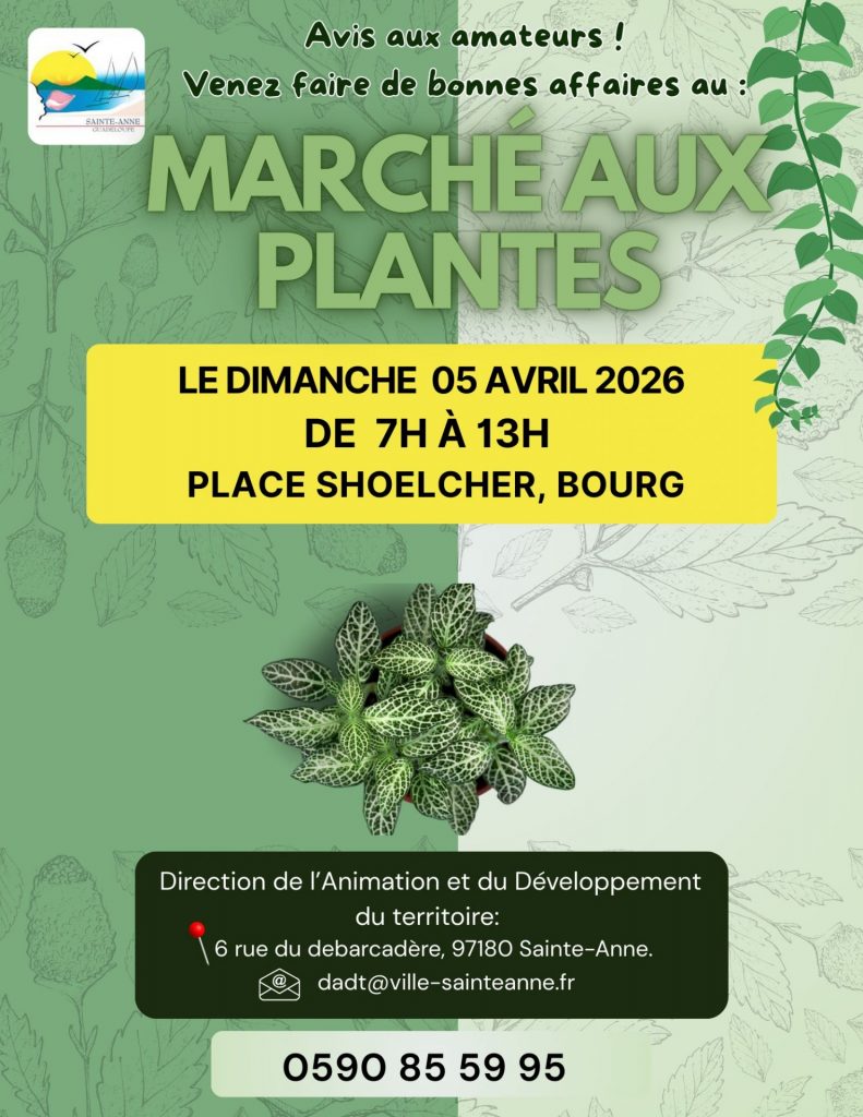 Marché aux Plantes de la Ville de Sainte-Anne : Le rendez-vous nature incontournable en Guadeloupe et en Outre-mer