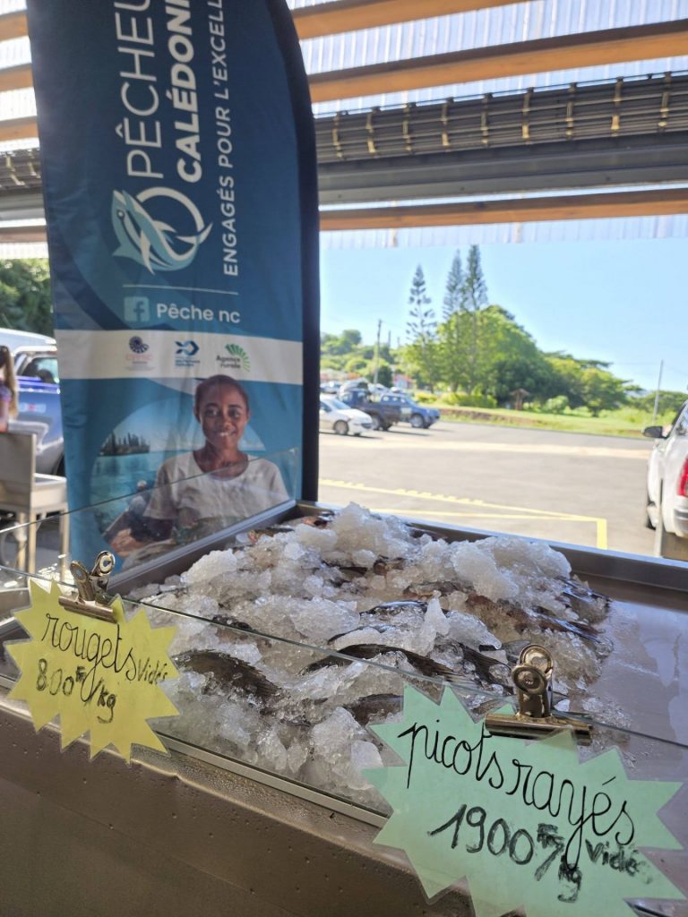 Marché de la Commune de La Foa : Votre rendez-vous saveurs en Nouvelle-Calédonie, l&rsquo;Outre-mer authentique