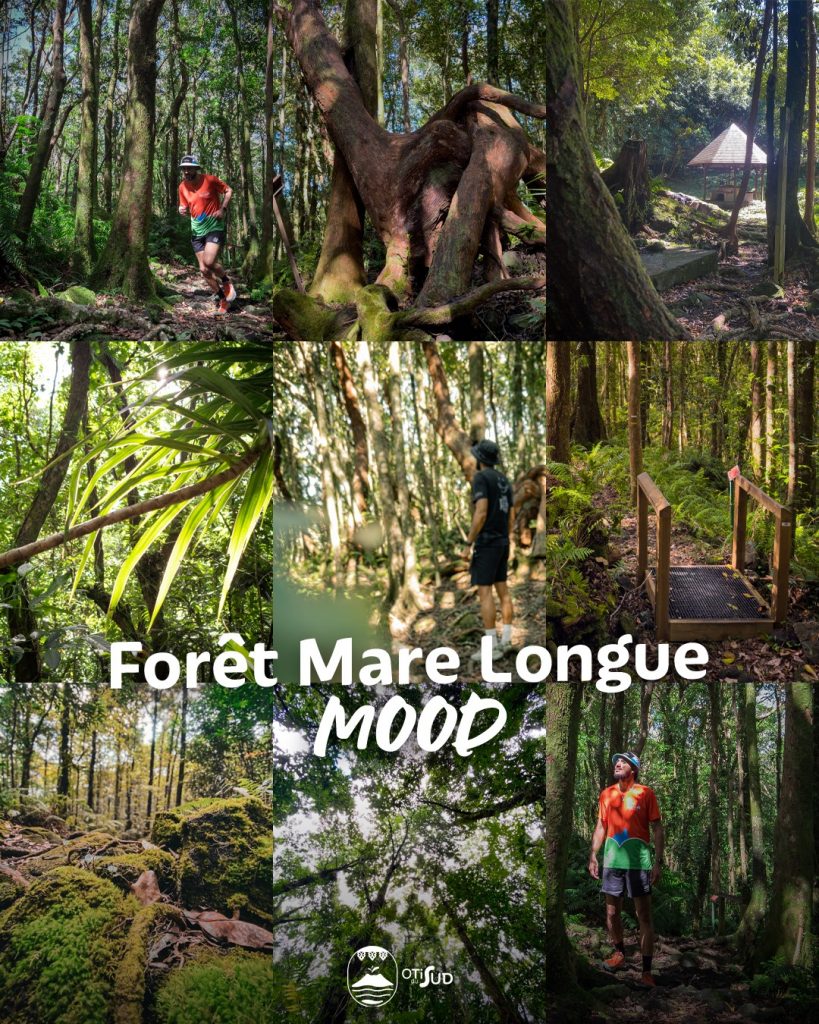 Otisud vous invite à la Green Therapy en Martinique, trésor de l&rsquo;Outre-mer