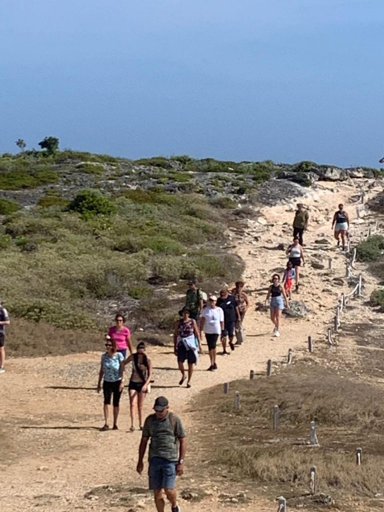 Randonnée à la Pointe des Châteaux : Le joyau de la Guadeloupe en Outre-mer
