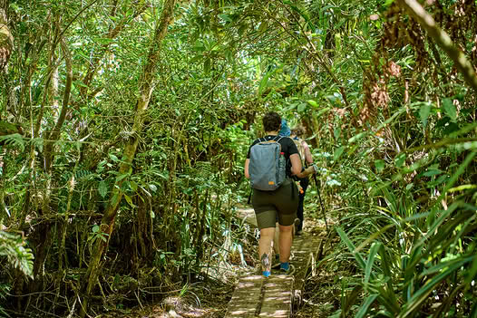 Randonnée d&rsquo;exception en Outre-mer : Côté Est Réunion, l&rsquo;Office de Tourisme de l&rsquo;Est de La Réunion te guide
