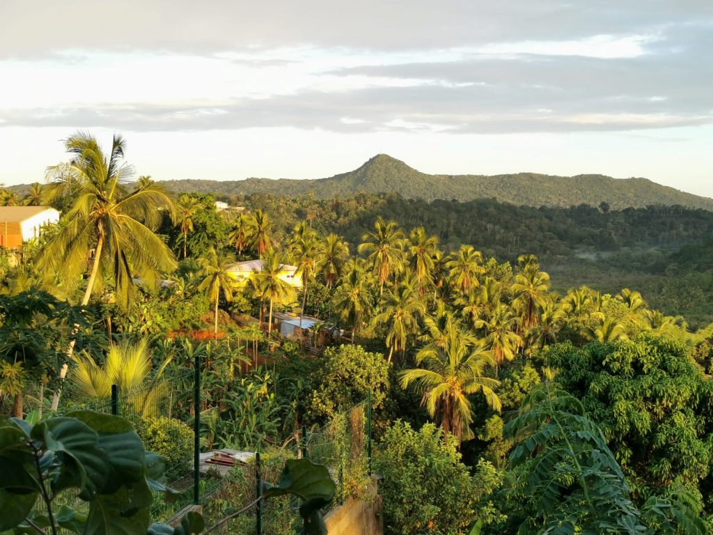 Préserver les forêts de Mayotte avec Baobab Tour : le joyau vert de l&rsquo;Outre-mer