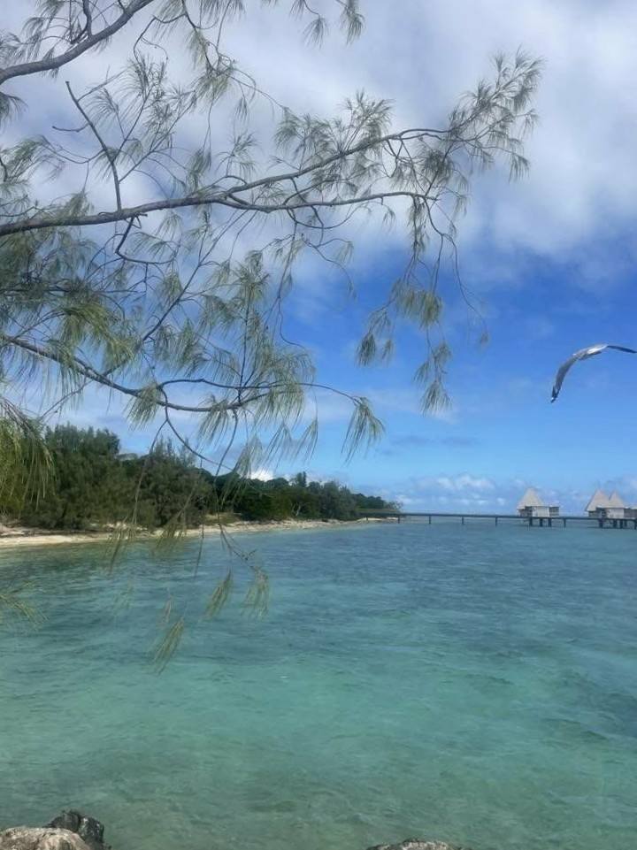 L’îlot Maître : Ton paradis sur l&rsquo;eau en Nouvelle-Calédonie, la perle de l&rsquo;Outre-mer