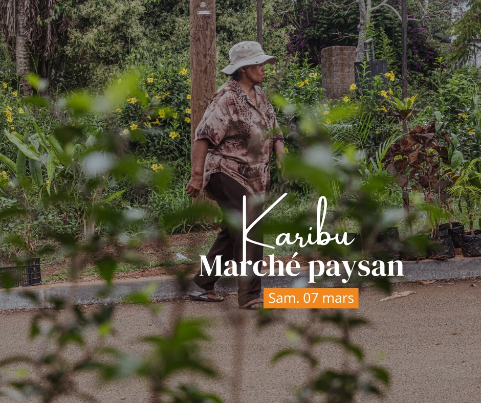 Tourisme Centre-Ouest à Mayotte : Les saveurs de l&rsquo;Outre-mer au Marché de Coconi