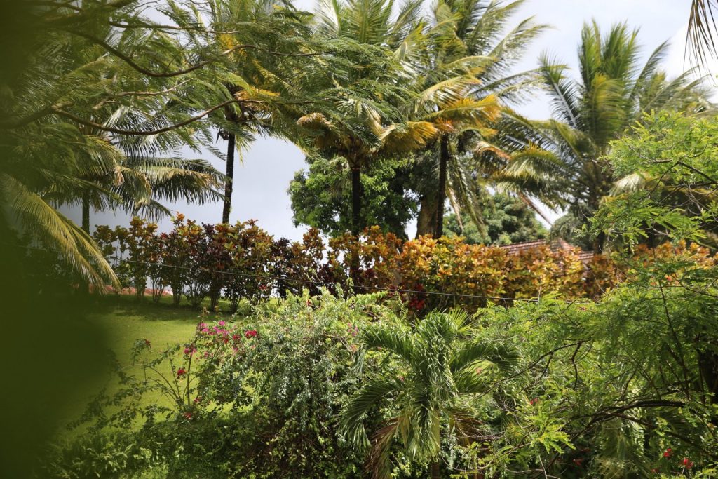 Vivre et voyager en Martinique : le guide complet du Tourisme Martinique en Outre-mer